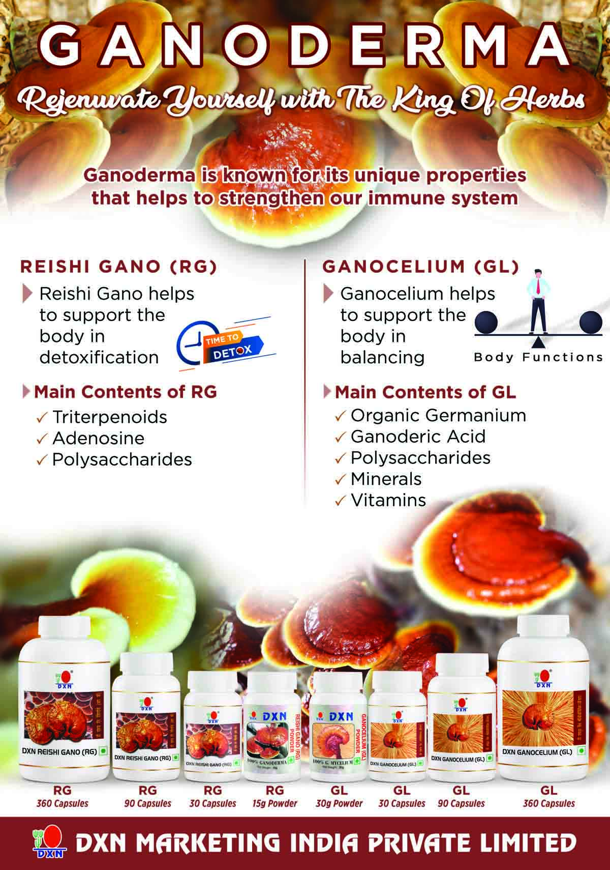 DXN Reishi Gano And Ganocelium Capsules - Rg & Gl - 360 Capsule - Image 6